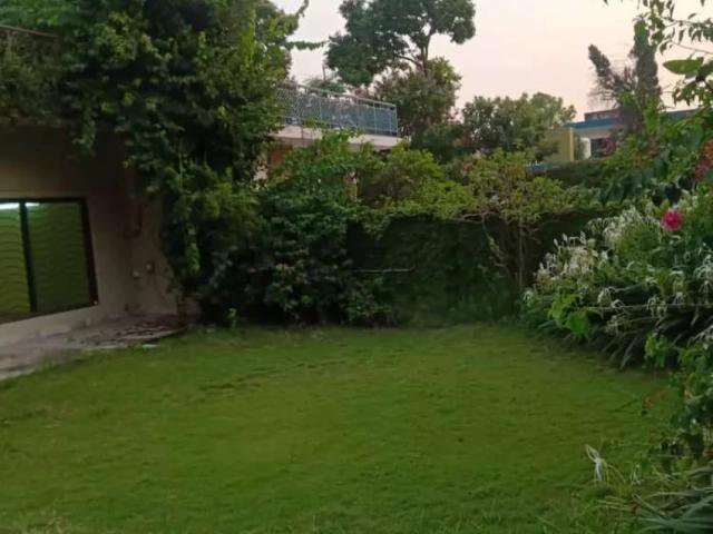 F 7 4bedroom house DD tvlounge, sqtr lawn, tiles flooring, nice location Islamabad F 7 ID 21067
