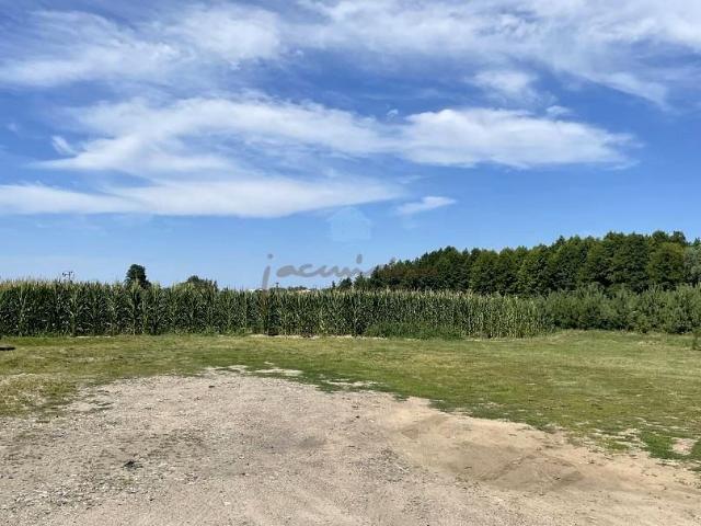 Fałkowo 5 000 m², Fałkowo