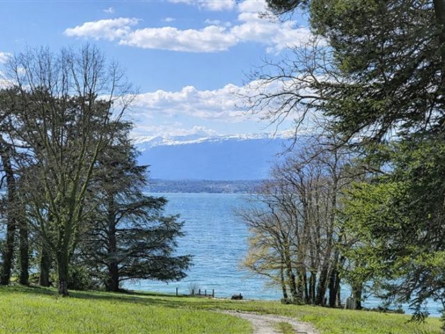 Familienhaus mit Atelier in Hermance in der Nähe des Sees