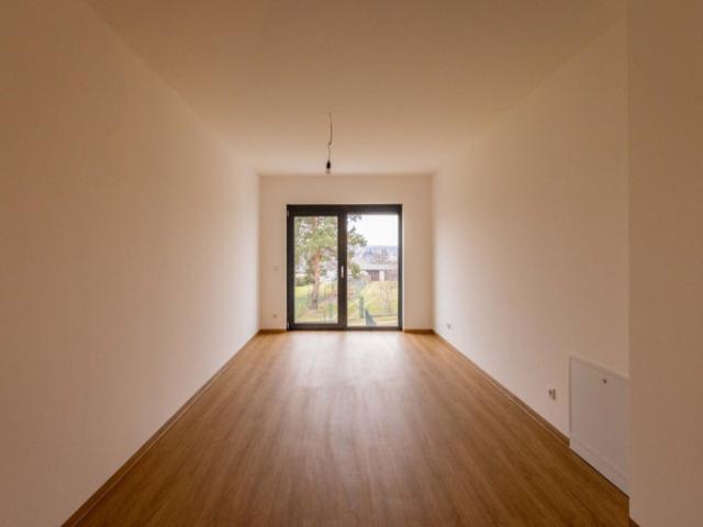 Familienparadies traumhaftes wohnen im sonnenland mittelburgenland