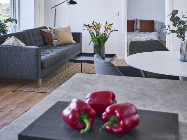 Familievenlige lejligheder i Aalborg