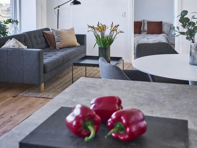 Familievenlige lejligheder i Aalborg