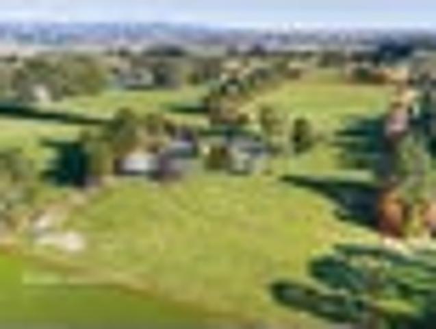 Family living and sheds galore