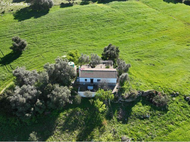 FANTASTICA FINCA EN PRADO DEL REY