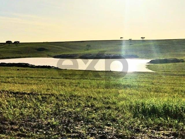 Fantástica Herdade no Baixo Alentejo m² Castro Verde e Casével