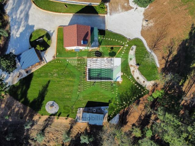 Fantástica quinta em Ferreira do Zêzere com licença de Alojamento Local