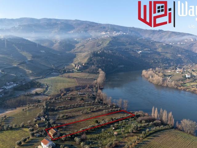 FANTASTICA QUINTA NO DOURO COM VINHA E OLIVEIRAS