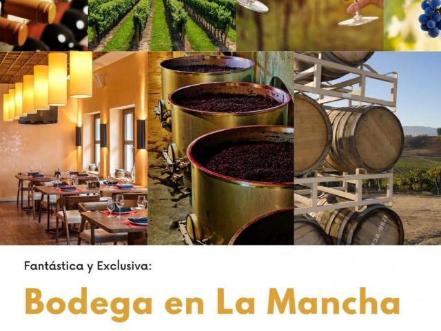 Fantastica y exclusiva Bodega en La Mancha