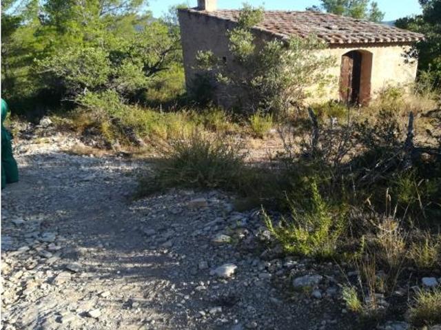 FANTÁSTICAS FINCAS RÚSTICAS EN VILANOVA D´ESCORNALBOU