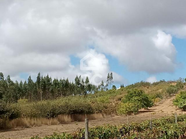 Fantástico agrícola, localizado na freguesia de Roliça, no concelho do Bomral Bomral, Roliça