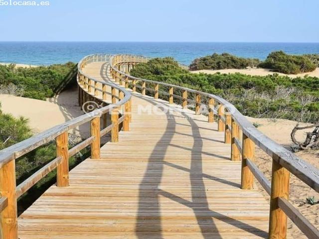 Fantástico local comercial a escasos metros de las playas de Guardamar del Segura, Alicante, Costa B