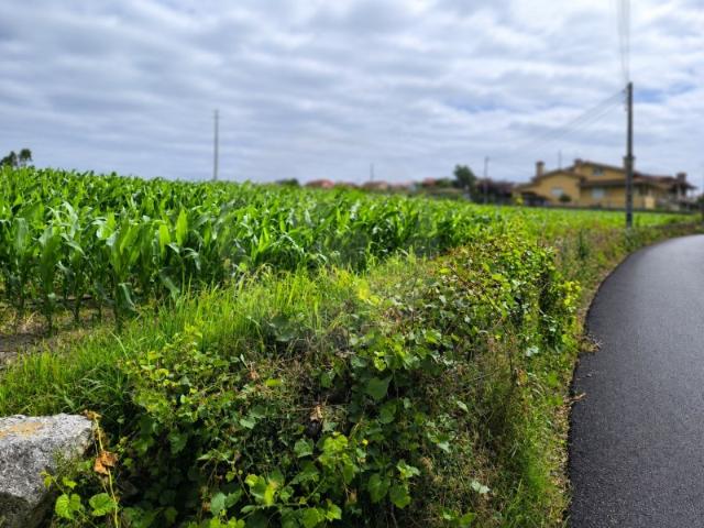 Fantástico Lote com 4.835 m² em Parada Vila do Conde