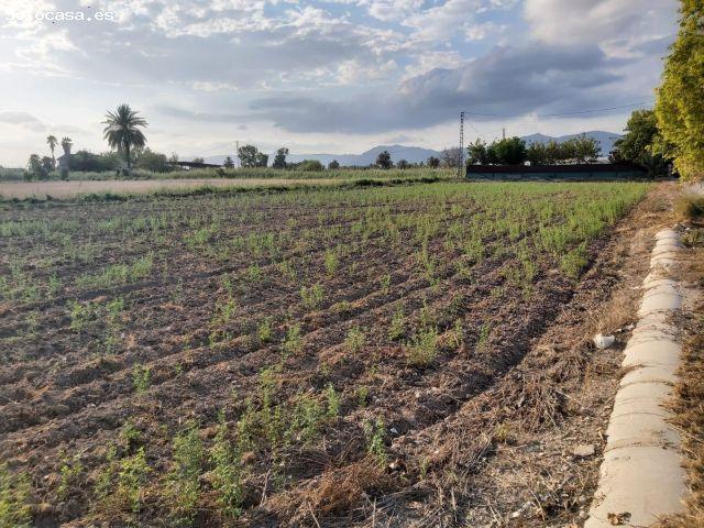 FANTASTICO TERRENO EN CREVILLENTE, ALICANTE, COSTA BLANCA SUR