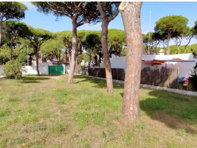 Fantastico terreno en la Playa de la Barrosa