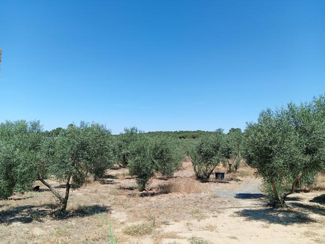 Fantástico terreno en Villablanca, Huelva
