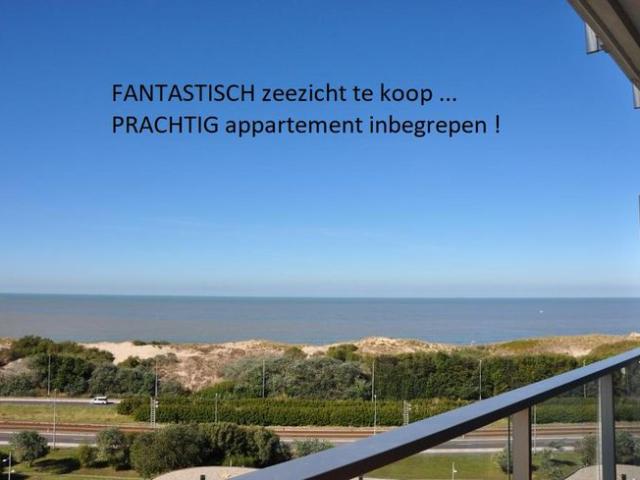 Fantastisch zeezicht te koop,inclusief prachtig appartement