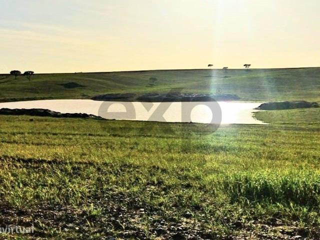 Fantstica Herdade no Baixo Alentejo