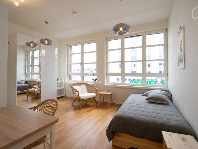 Fabulous apartment in the heart of the city junction of Mitte, Tiergarten and Schöneberg, Berlin Amsterdam Apartments for Rent