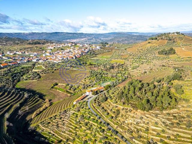 Fabulosa Quinta de Turismo Rural com 20 hectares