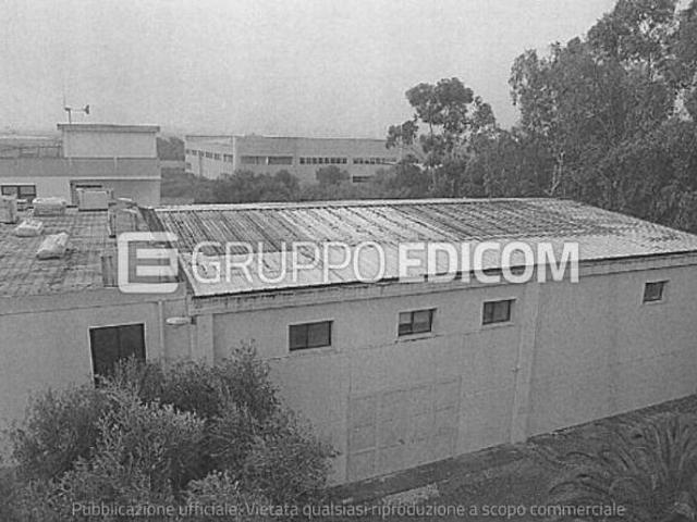 Fabbricati costruiti per esigenze industriali in vendita a Palo del Colle Rif. 3558133
