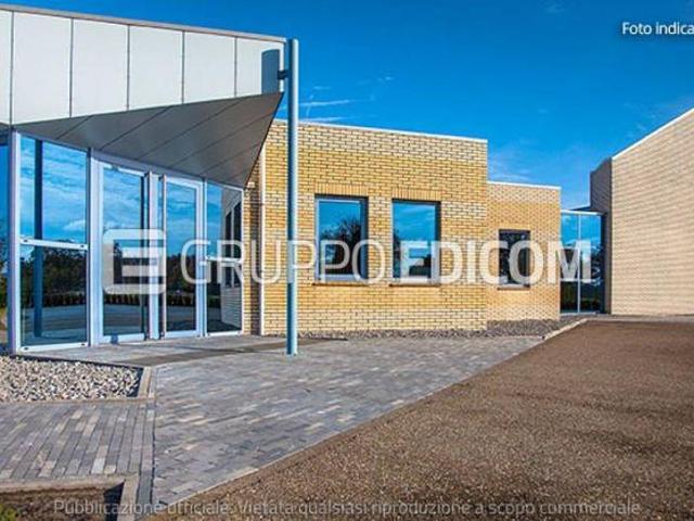 Fabbricati costruiti per esigenze industriali in vendita a Stienta Rif. 3560580