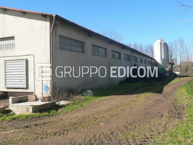 Fabbricati per attivit agricole di 1909.3 mq in vendita a Rombiolo Rif. 4550498