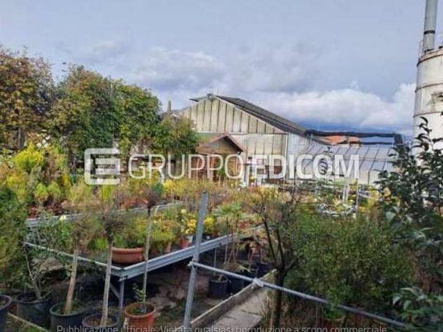 Fabbricati per attivit agricole di 27005 mq in vendita a Vittorio Veneto Rif. 4553904