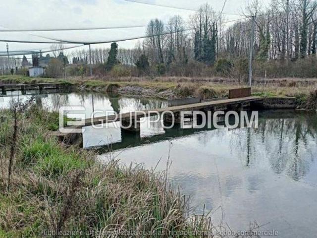 Fabbricati per attivit agricole in vendita a Treviso Rif. 4552995