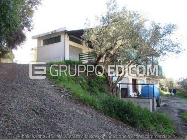 Fabbricati per attivit agricole in vendita a Zagarise Rif. 4546095