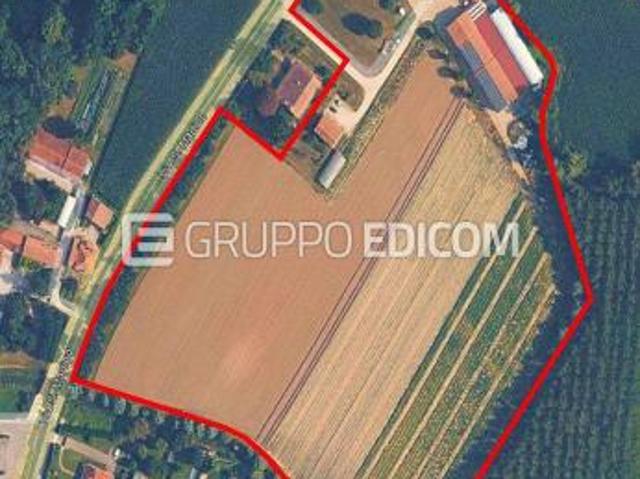 Fabbricati per attivit agricole in vendita a Morgano Rif. 4554118