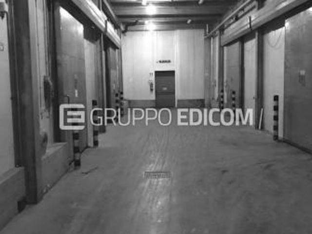 Fabbricati per attivit agricole in vendita a Nova Siri Rif. 4545161