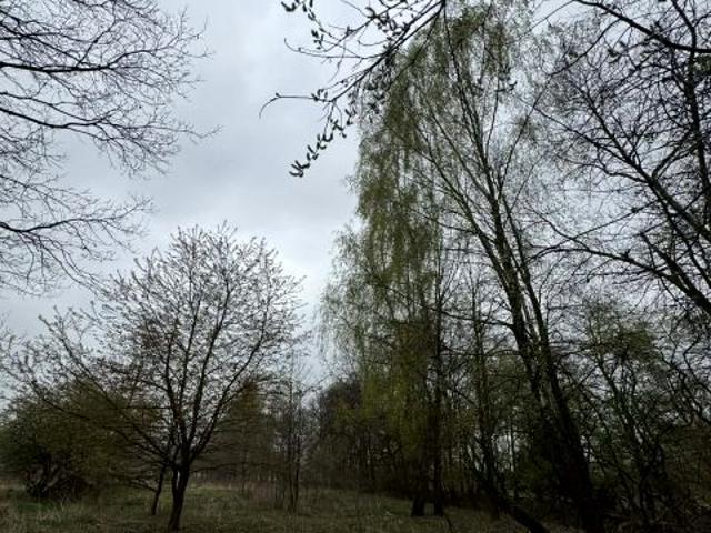 Fabryczna 1 368 m², Oświęcim