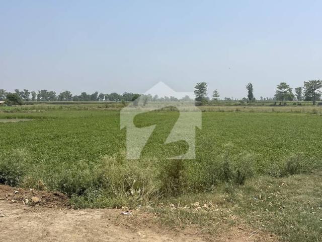Factory Land Near Ferozepur Road Lhr