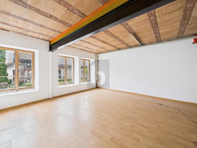 Factory with 3 rooms for rent in Erlenbach im Simmental 550 m² | dreamo. Ch