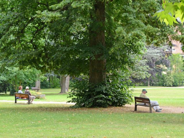 Face au parc, un cadre de vie exceptionnel à OBERNAI