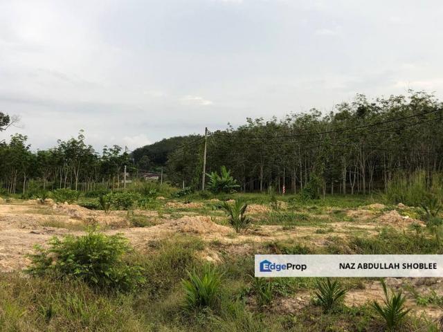[FACING MAIN ROAD] Palm Oil Land, Triang Ilir, Jelebu, Negeri Sembilan For Sale