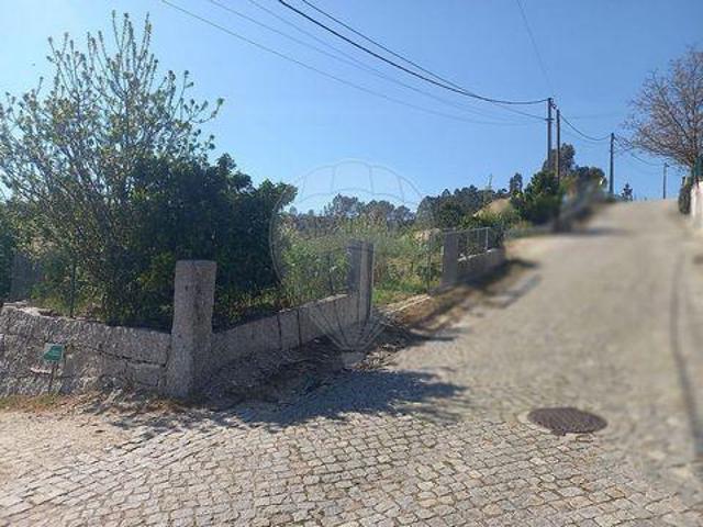 Fafe Braga LS102116555