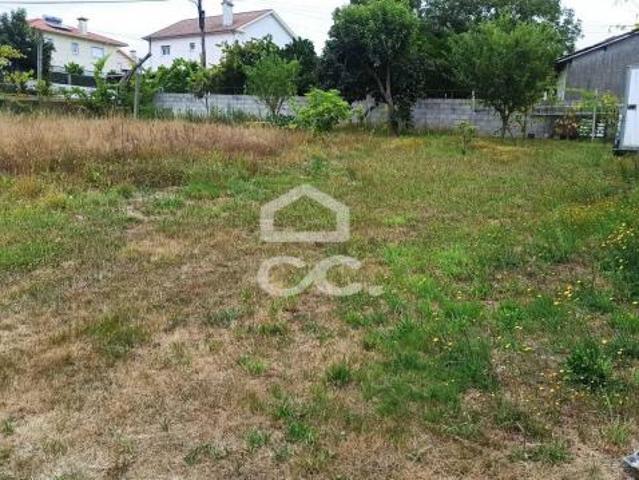 Fafe Braga LS79074057