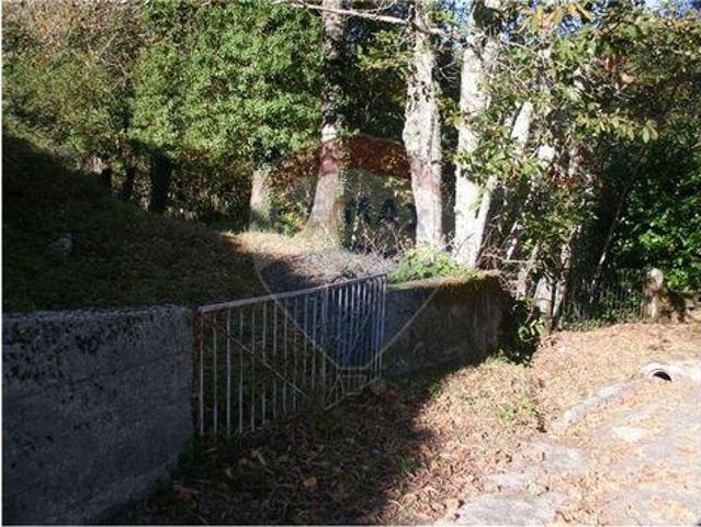 Fafe Braga 100020079