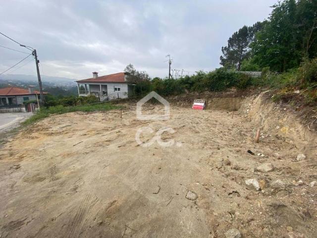 Fafe Braga 101306648