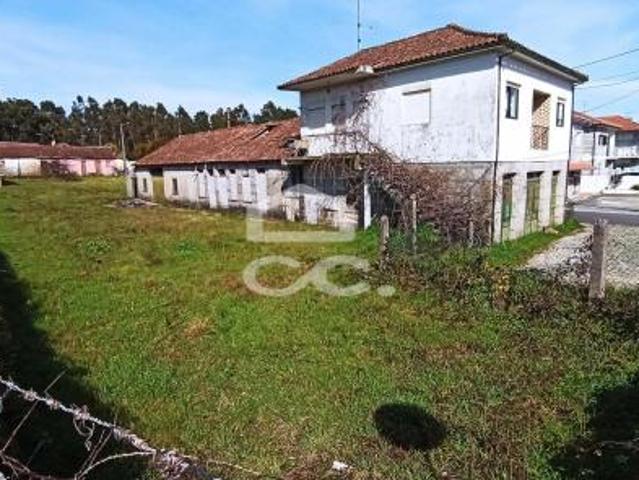Fafe Braga 79073908