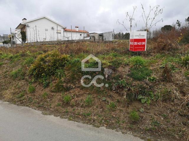 Fafe Braga 79073942