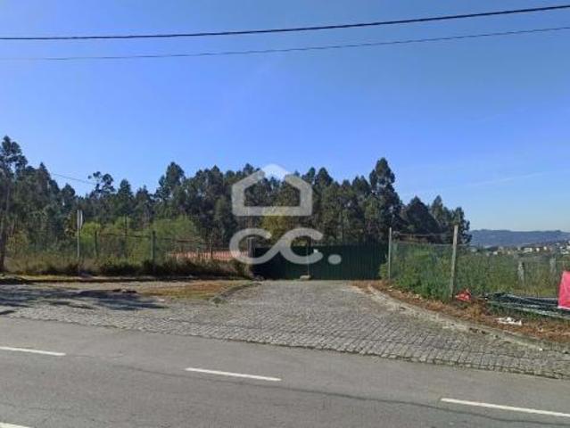 Fafe Braga 79073992