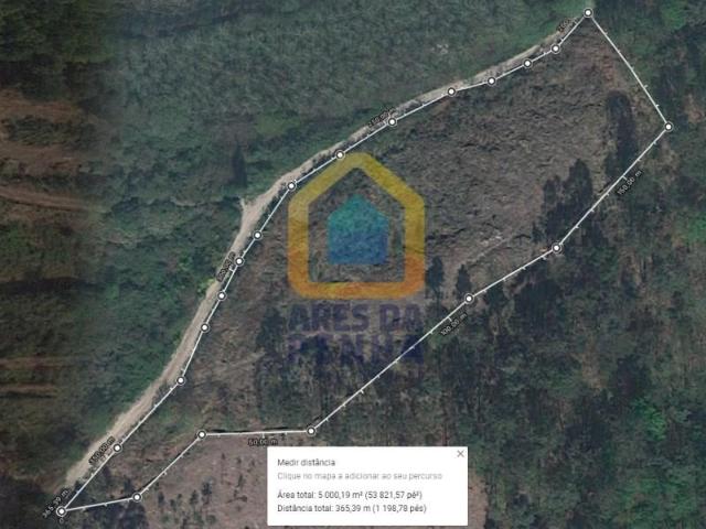 Fafe Fafe 102466379