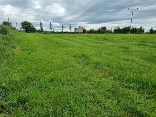 Faha Demesne, Patrickswell, Limerick