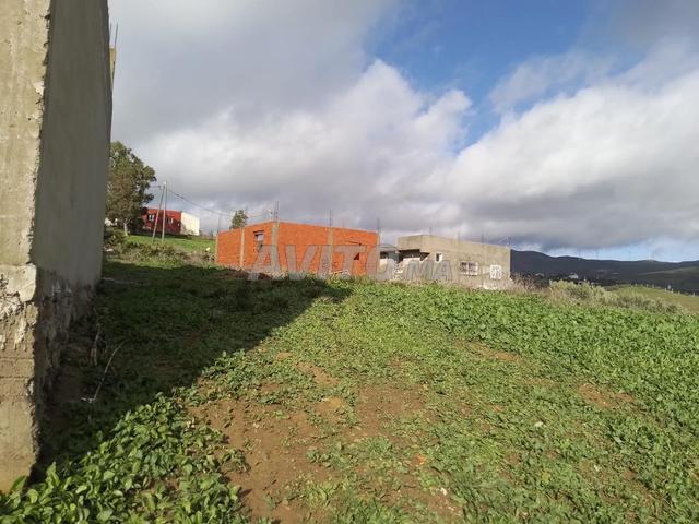 Fahs Angera, Aydada