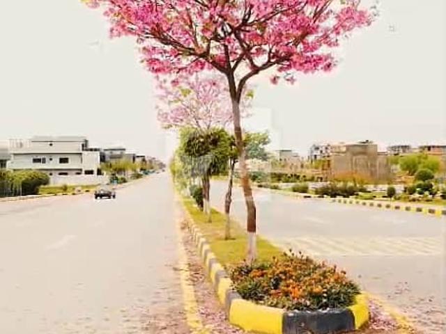Faisal hills block c 25*50 plot for sale in 5200 series first come first available
