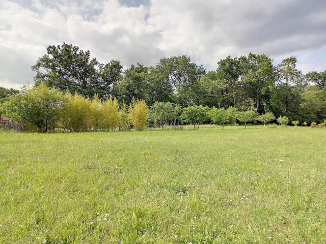 Fargues Saint Hilaire Vente Terrain 33