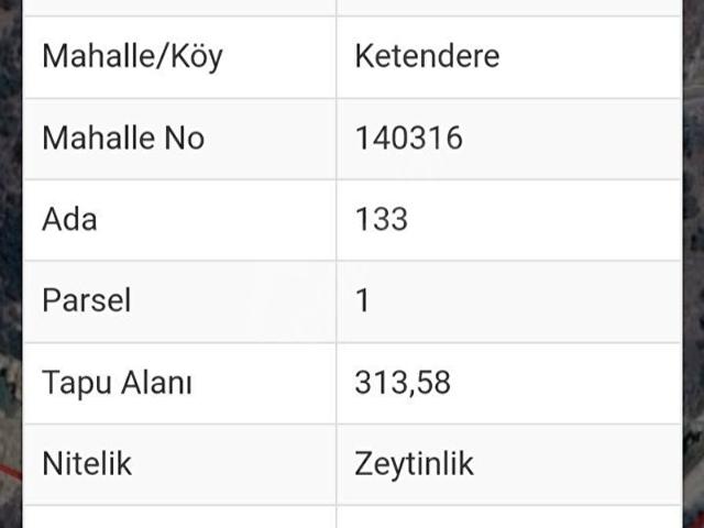 FARİSTTEAM'DAN MUĞLA MİLAS KETENDERE DE YOL KENARI YATIRIM FIRSA