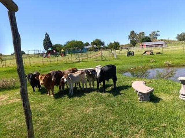 farm on the market in klipview, midvaal